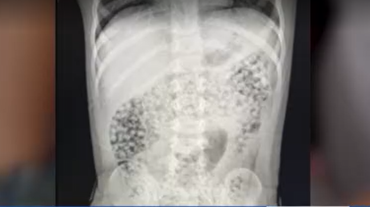 New safety regulations in place for popular toy 'Water Beads'