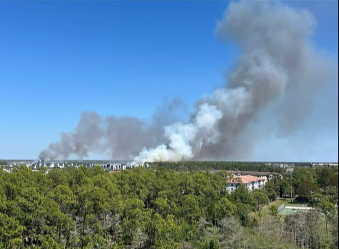 Two brush fires burn off Collier Boulevard Monday | Naples FM Talk