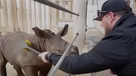 Chiefs’ Creed Humphrey meets baby rhino