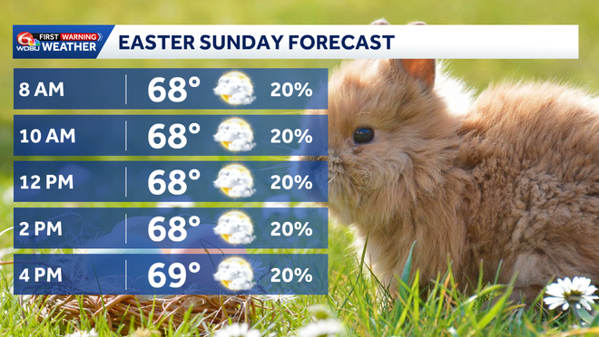Late morning/afternoon rain chances continue in your Wednesday New ...