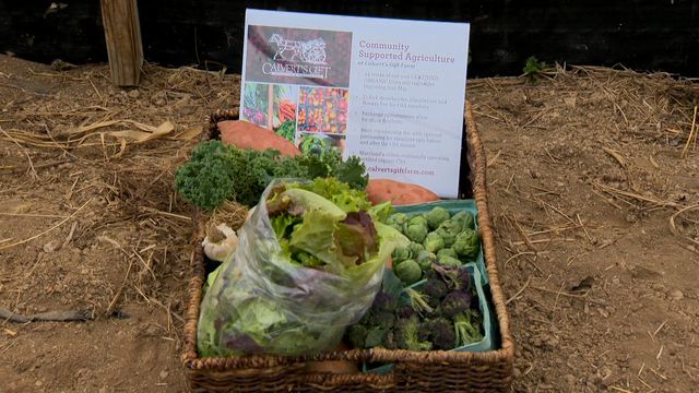 'reFRESH pledge' delivers produce box subscriptions - Vimarsana News
