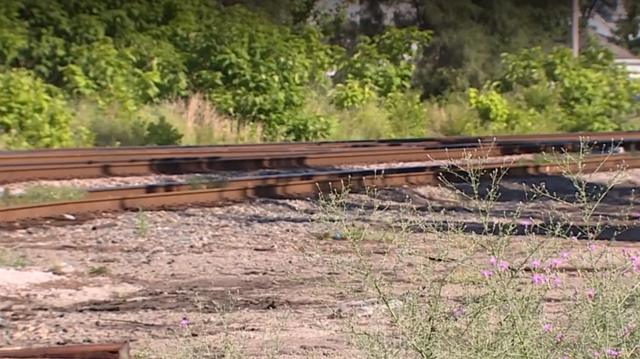 Officials stress the importance of railroad safety after a Hamilton woman is hit by a train - Vimarsana News