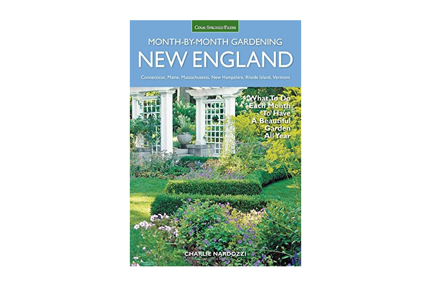 Https Www Wmur Com Article Hand Sanitizer Gloves Available At Some Polls As Granite Staters Hit Polls For Town Elections 31347452 2020 03 10t16 39 00z Daily 0 8 Https Www Wmur Com Article Watch Mild With Some Showers In Afternoon Evening