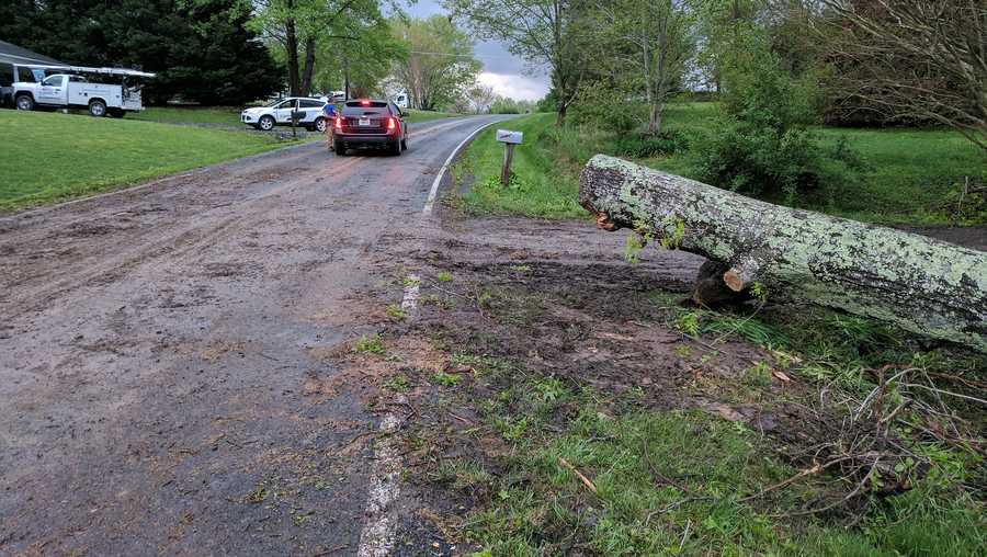 Firefighters cleared Flippin Road after a tree fell during severe weather.  