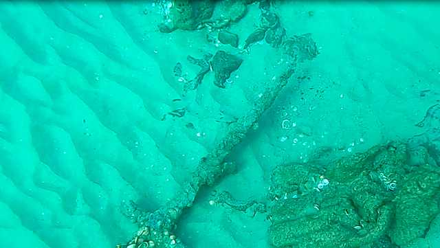 900-year-old sword found off the coast of Israel - Vimarsana News