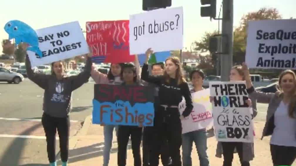 SeaQuest interactive aquarium opens in Folsom with protest