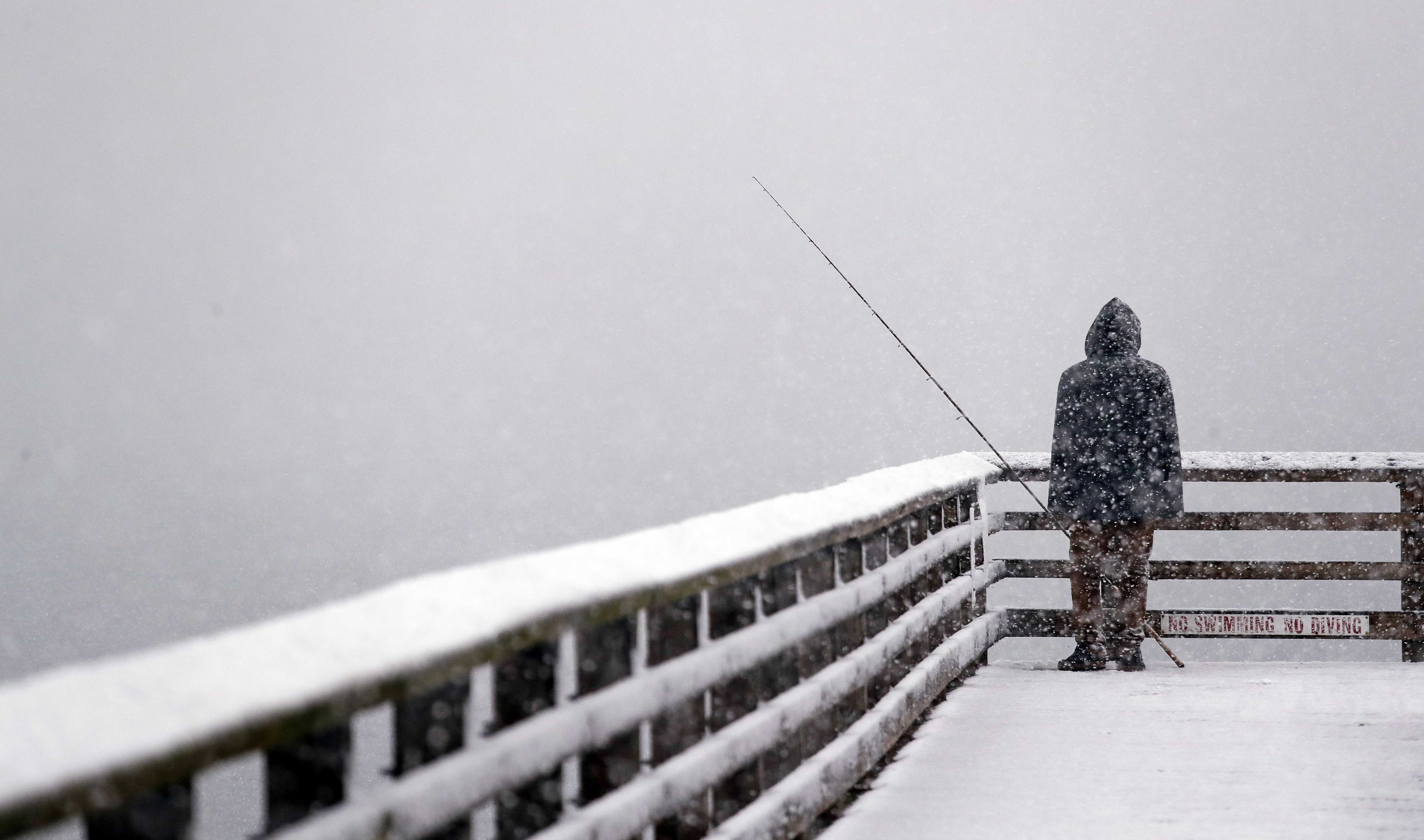 Seattle Nearly Reached Its Yearly Amount Of Snowfall In One Day