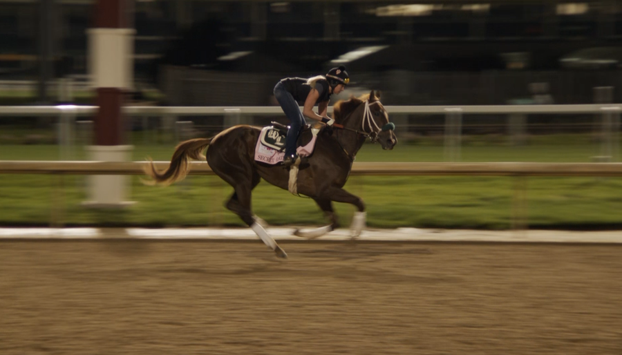 Meet the 2022 Kentucky Oaks horses