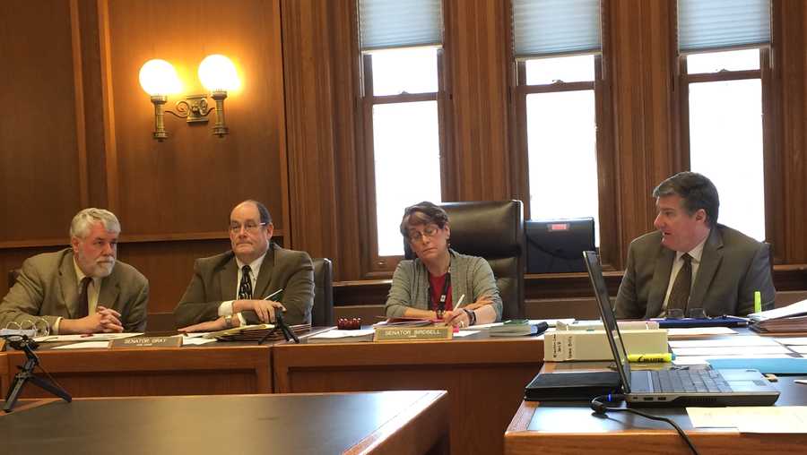 Members of the state Senate Election Law Committee debate legislation that would tighten the state's voting requirements Tuesday.
