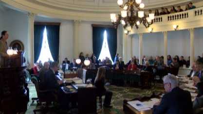Senate passes state budget, sends it to House