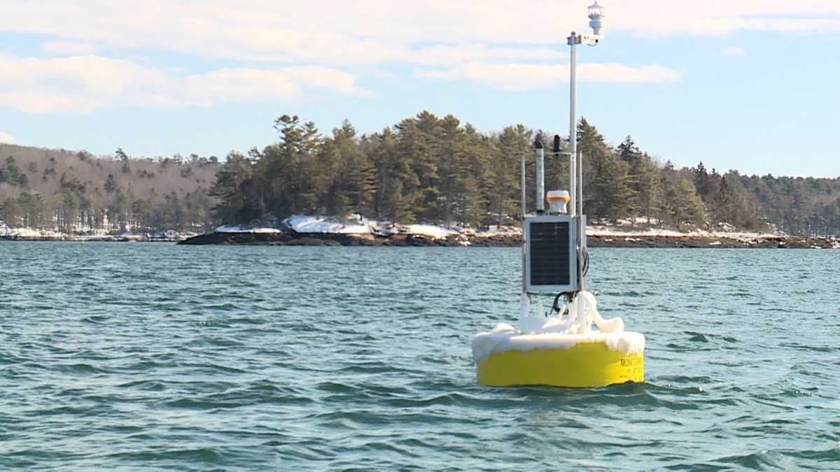 Satellite-driven research helps oyster farmers choose sites with more confidence