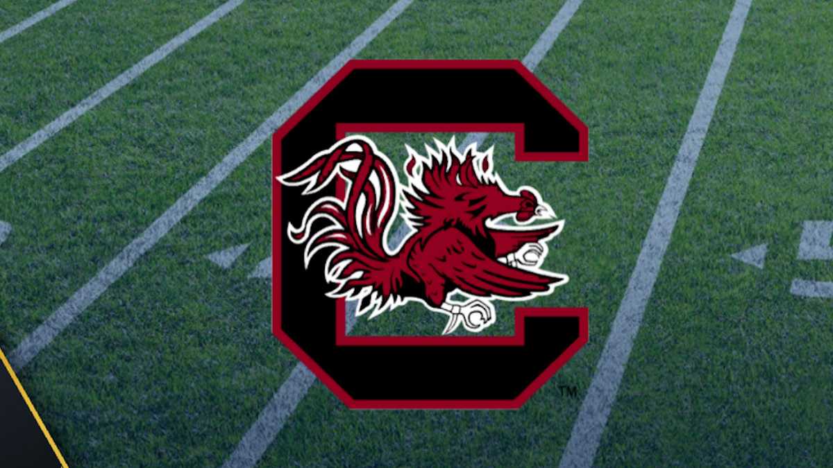 South Carolina's Stewart, Harbor named to Preseason Coaches All-SEC teams