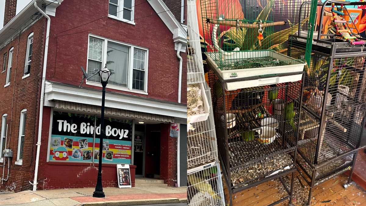 Shocking discovery of neglect at York County pet store: Hundreds of ...