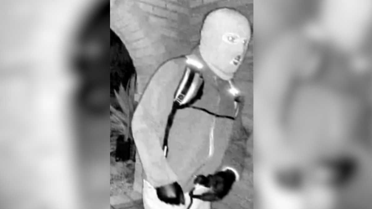 FBI releases surveillance photos of masked person near Nancy Guthrie's house