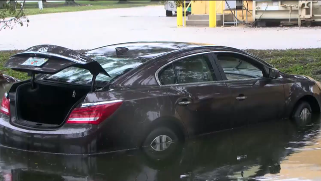 Cape Coral auto shops struggle with repairs amid surge of flooded cars - Vimarsana News