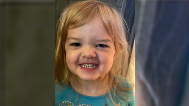 Body of missing 4-year-old was wrapped in plastic inside suitcase, coroner says - Vimarsana News