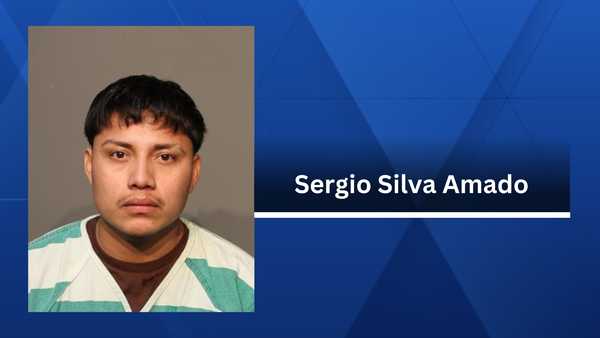 sergio silva amado