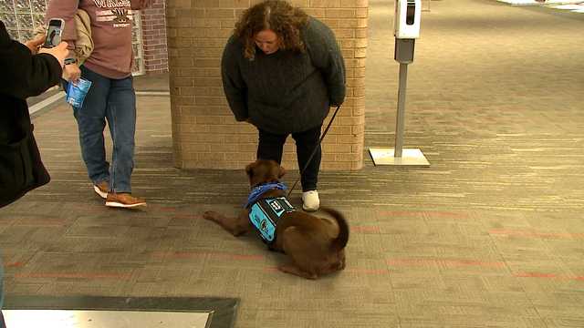 'I prayed a lot': Woman with PTSD meets her new service dog at Eppley - Vimarsana News