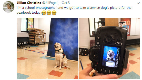 can you take a service dog to school