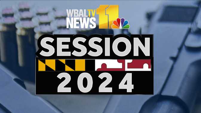 Bill Attacks Gun Violence By Funding Trauma Centers   Session 2024 Guns 65a81c5ec2603 