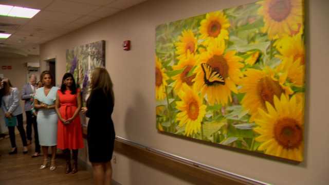 GBMC helps sexual assault survivors heal - Vimarsana News