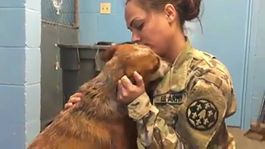 U.S. Army Sgt. Dahlberg reunited with her dog Ginger, who was missing for several weeks, the Front Street Animal Shelter said on Tuesday, Nov. 29, 2016.