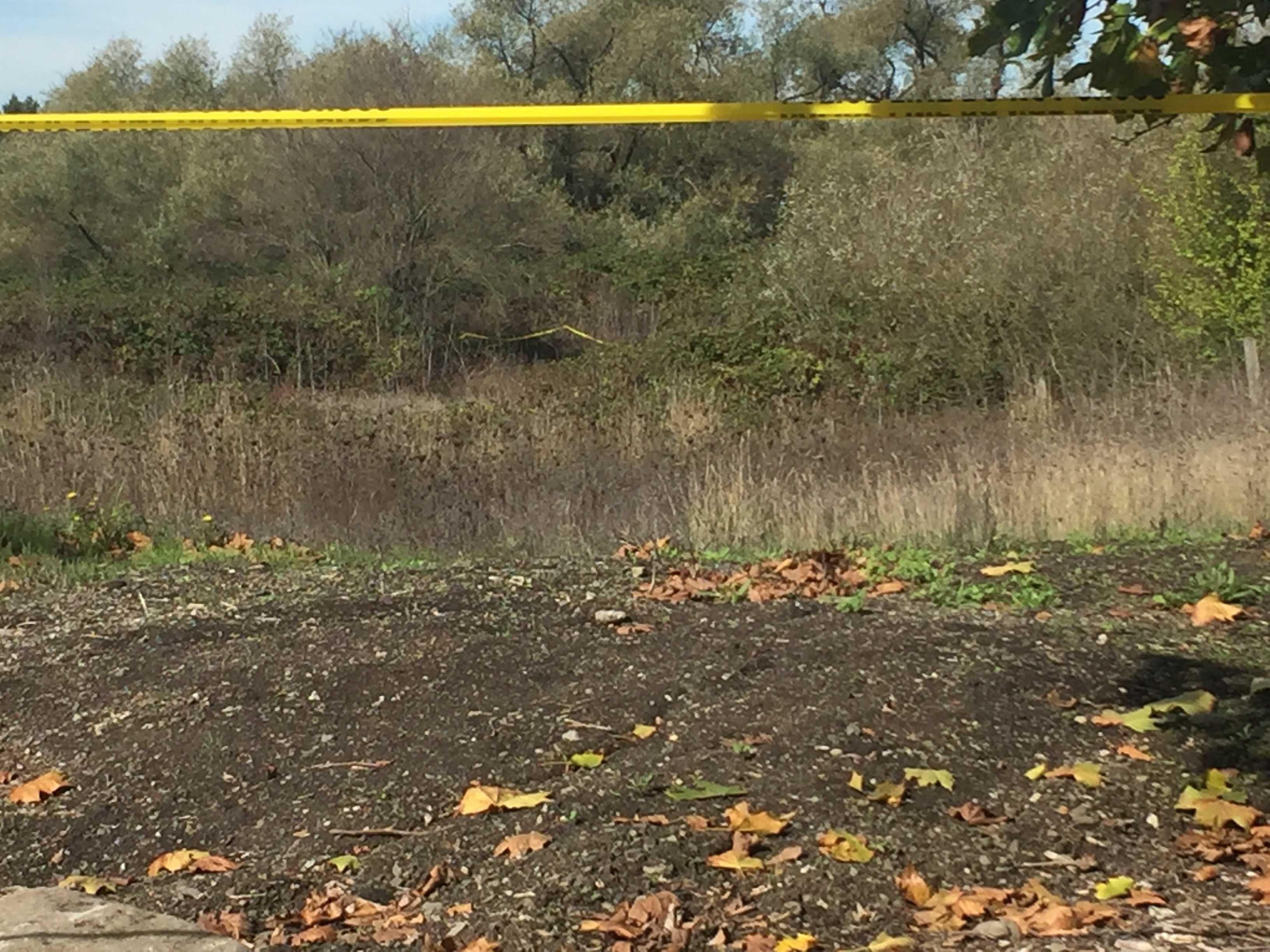 Body Found Buried At Sonoma State Campus Was Stabbed