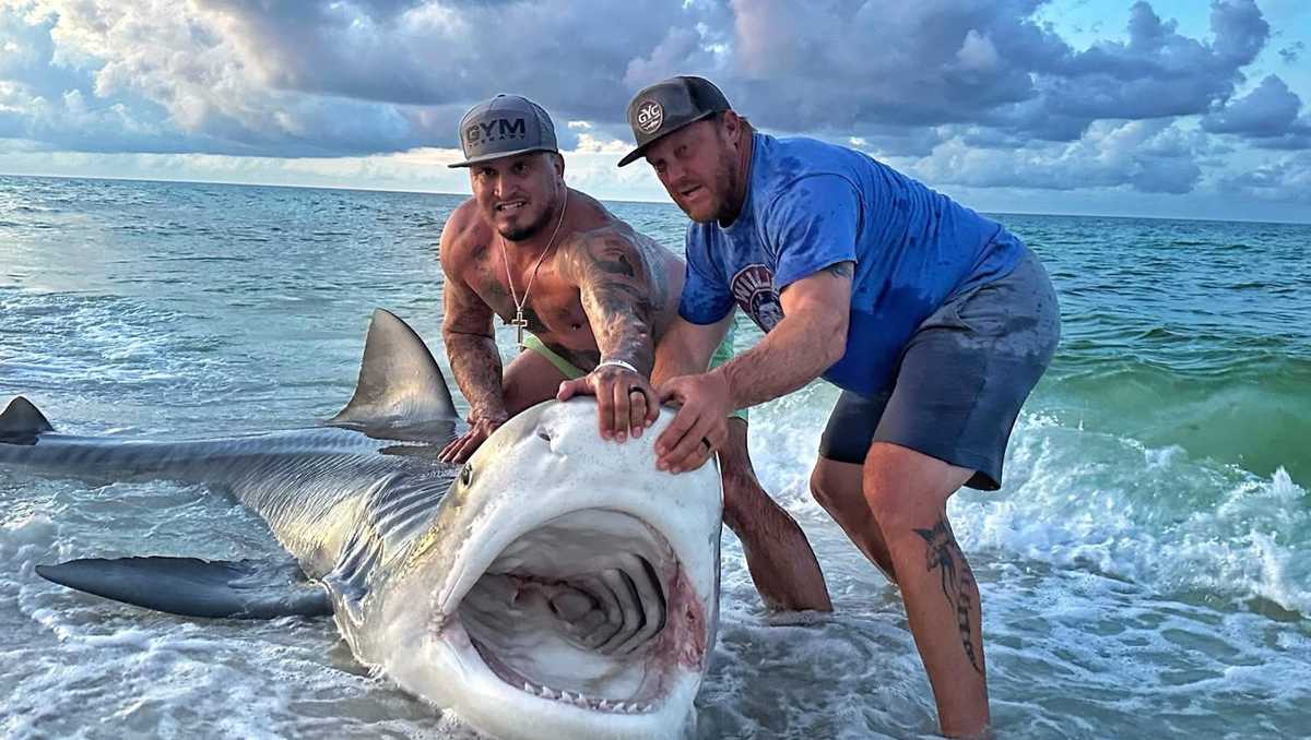 Take a walk on the wild side with Central Alabama's top animal stories of 2025