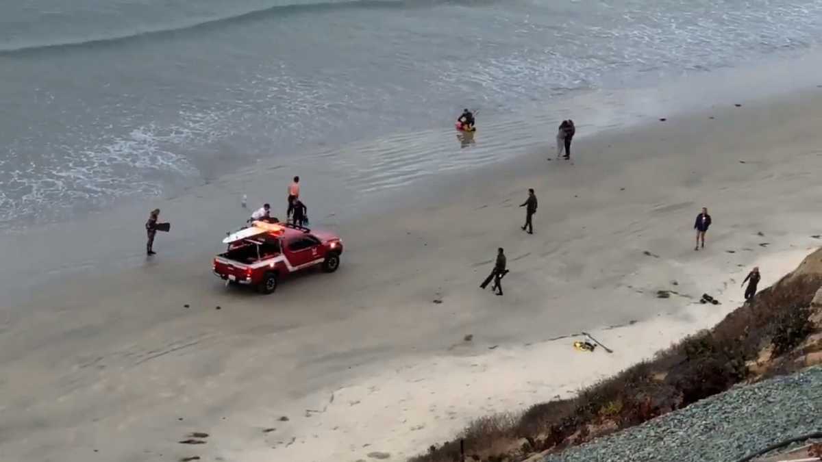 13-year-old boy suffers 'traumatic injuries' after shark attack off ...