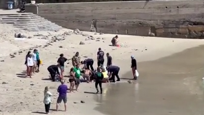 California trauma surgeon shares update on shark attack victim - Vimarsana News