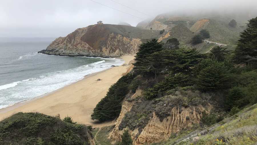 cal fire respond to report of shark bite at gray whale cove