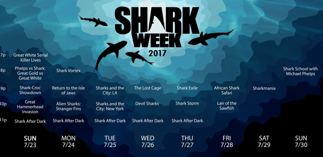 Shark Checklist - Attractions & Experiences | SeaWorld San 