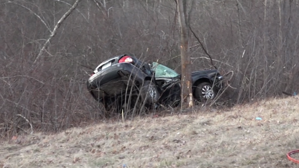 Woman, dog die in two-car crash on Interstate 95, state police say