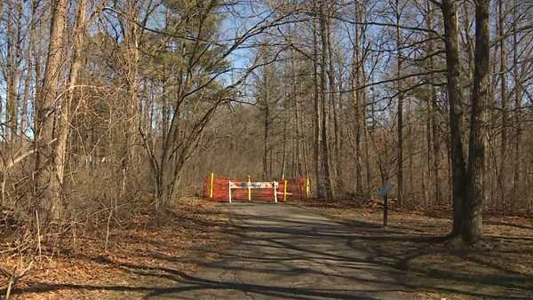 Woman seriously injured as tree falls in Sharon Woods - Vimarsana News