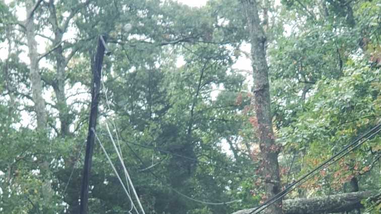Images: Storm downs trees, power lines