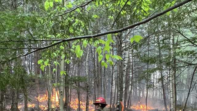 Crews return to forest fire in Shelburne for second day