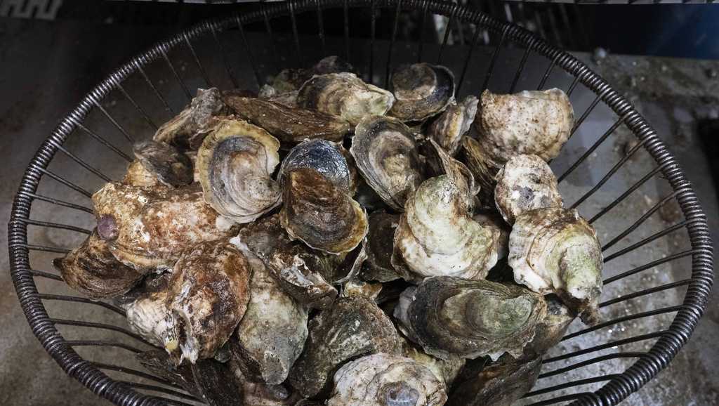 Two Connecticut deaths linked to bacteria found in raw shellfish