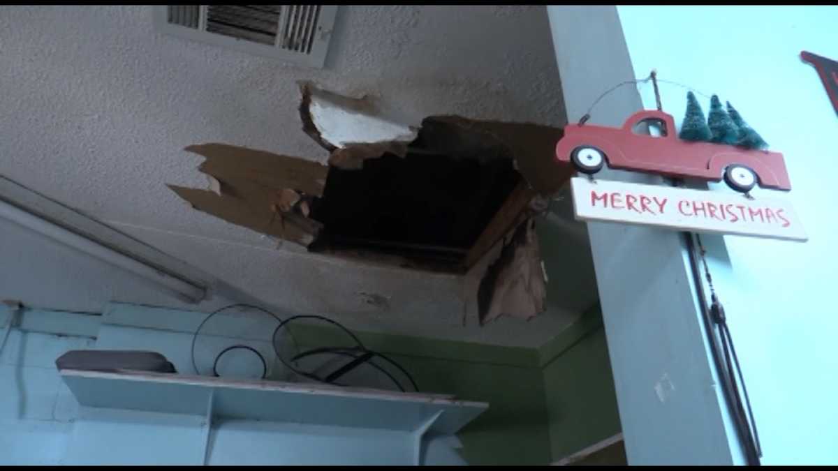 Hinesville animal shelter facing collapsed roof, cold building