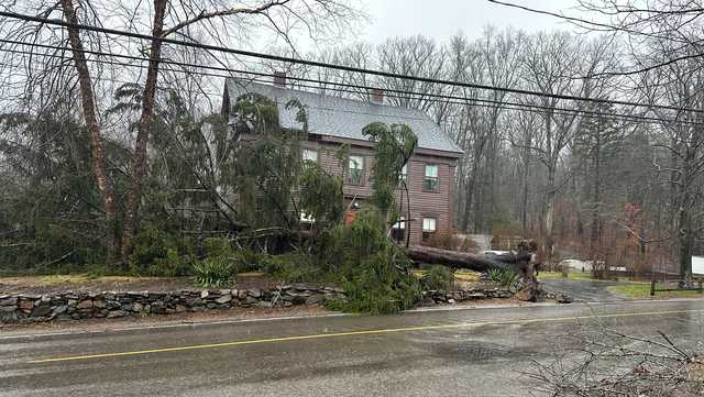 Tree falls, damages Mass. home built before American Revolution - Vimarsana News