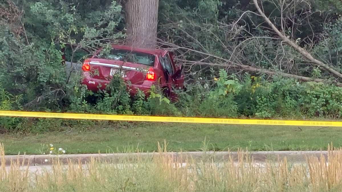 Woman, 87, killed after car crashes into tree in Milwaukee
