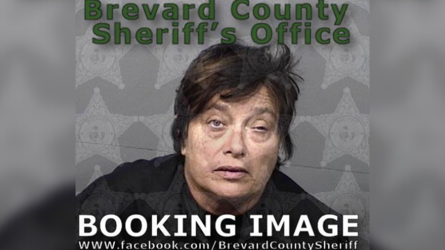 Sheriff Woman angry at her husband stabs his dog 9 times photo image