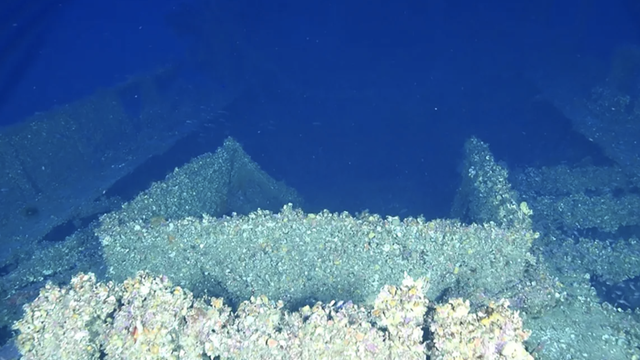 Three historical shipwrecks uncovered in the Mediterranean - Vimarsana News