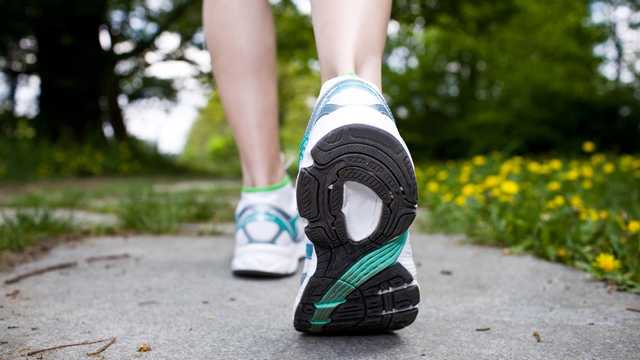 The Parklands and WLKY partner on Wellness 5K - Vimarsana News