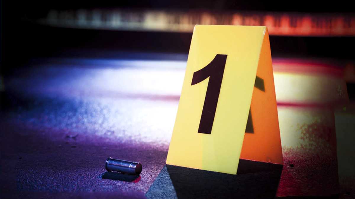 Shooting News Image