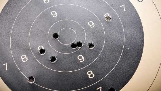 a photo shows a shooting range target with seven bullet holes