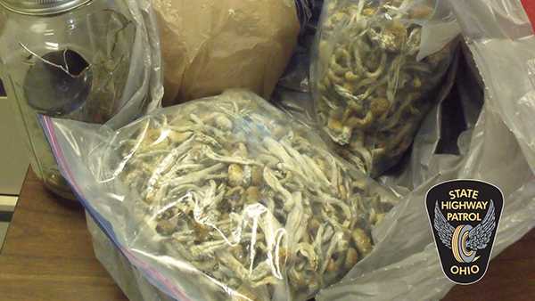 ounce of shrooms