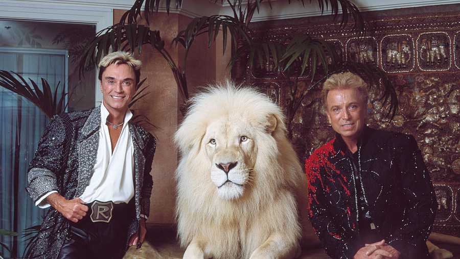 Siegried Fischbacher and Roy Horn in their private apartment at the Mirage Hotel on the Vegas Strip, along with one of their performing white lions.