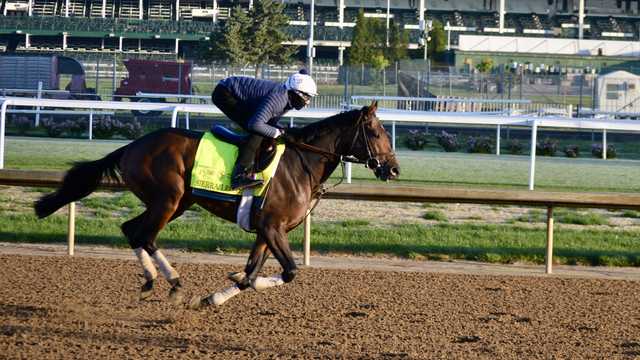 Kentucky Derby 150 field: Post positions, odds - Vimarsana News