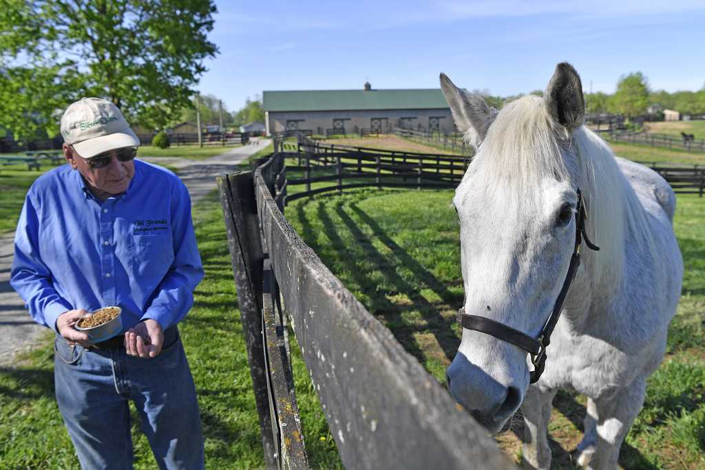 Former Derby winner lives life of leisure on retirement farm
