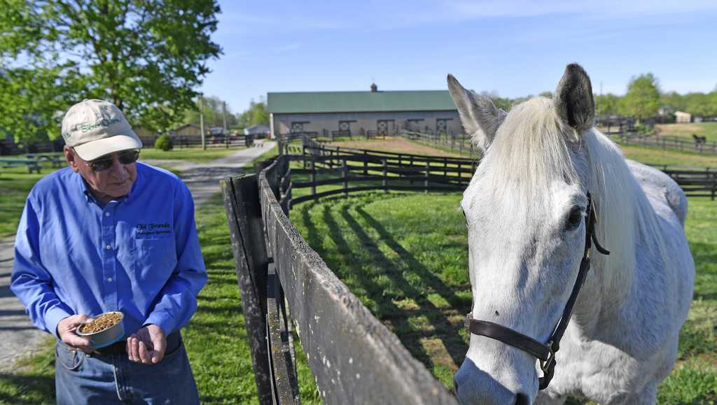 Former Derby winner lives life of leisure on retirement farm - Vimarsana News